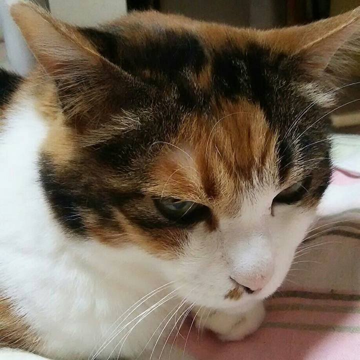 165fba20 426e 4679 9197 06d12d1b495e