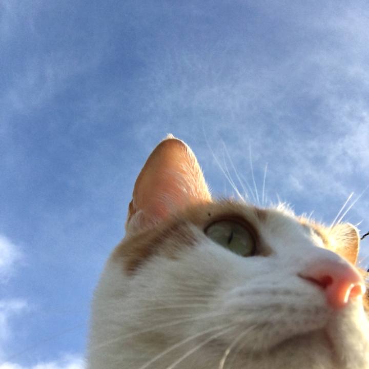 165fe277 210e 4596 8c42 86263f54d9bf