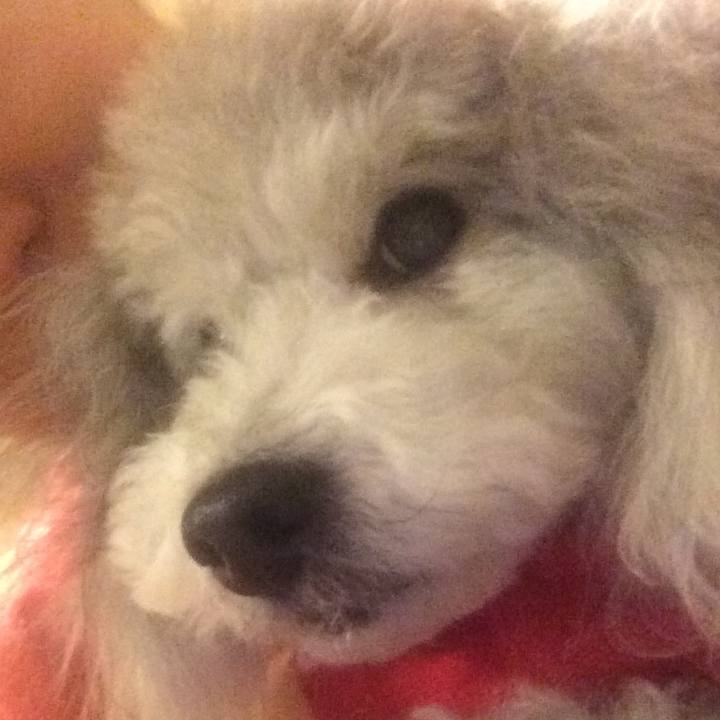 16608dd8 b849 4afa 8f27 221d77df618d