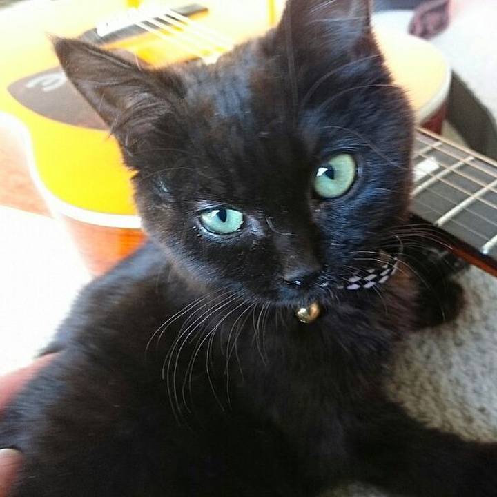 1660a0d8 a847 4bab a4f9 d5fba3eb30c5