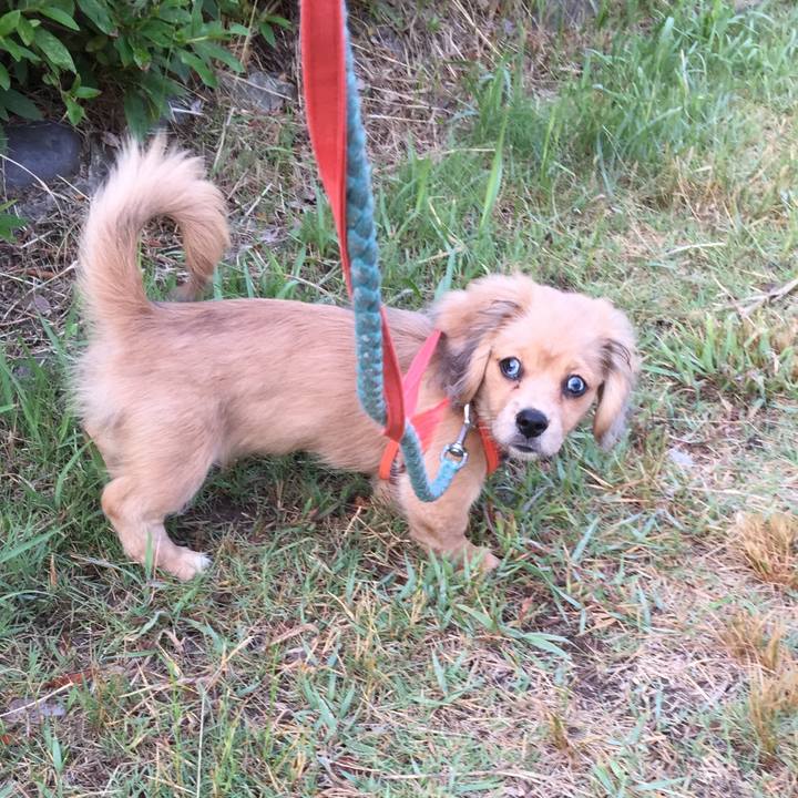 1660b232 9c8a 4d6c b7e6 2d0f15a3a318