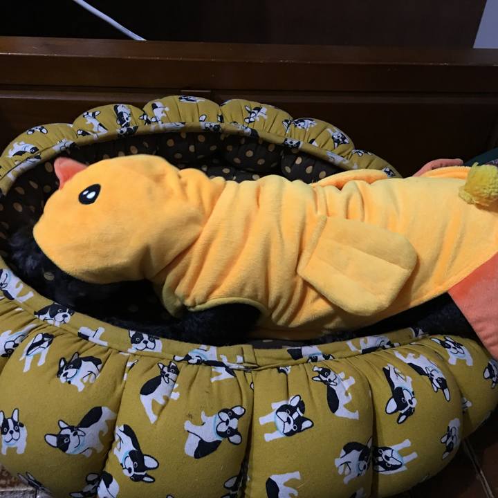 1660d6bd 9d9b 4e01 85b1 019807978408