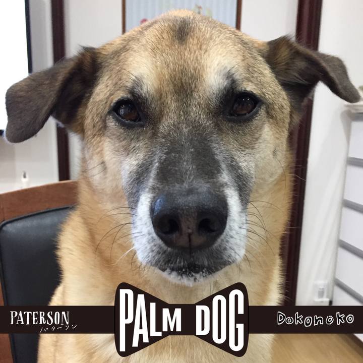 16616fc3 f5ce 4f9f 9f45 10c1ddf17880