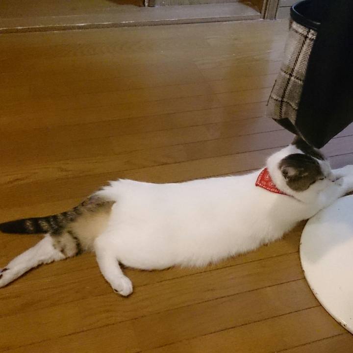 16617d59 fe8d 491a bd6a 1f514655100a