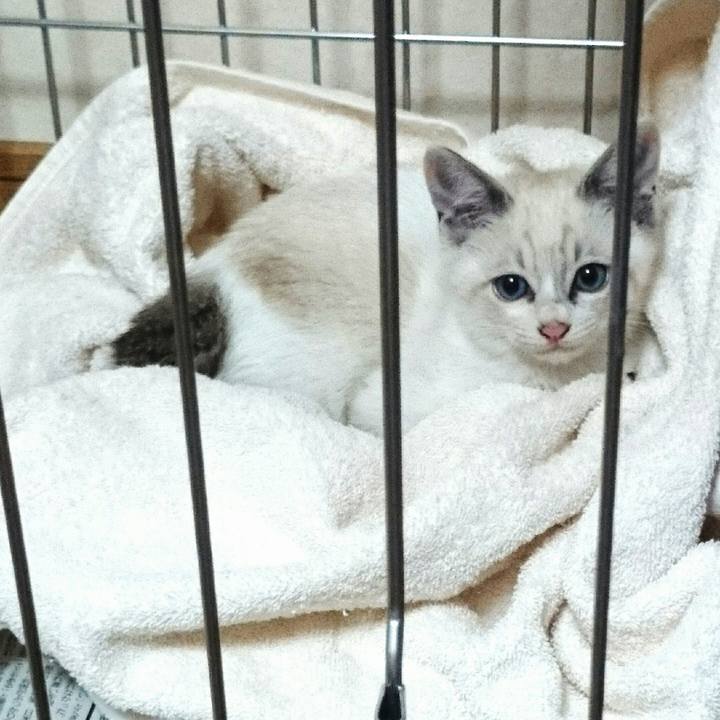 16618856 e240 4cf8 a36a 5dddff44bde6