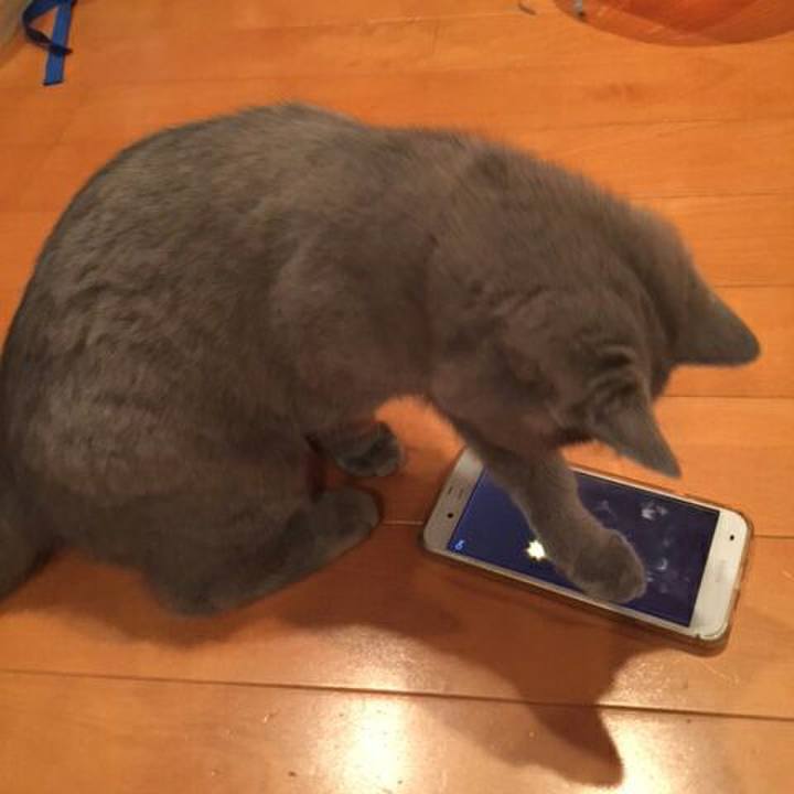 1661a0e2 9b8e 4946 9aed 5097d1c3e778