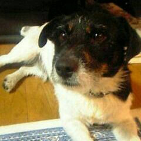 1661b545 4ead 4c82 a651 6f45538c42c4