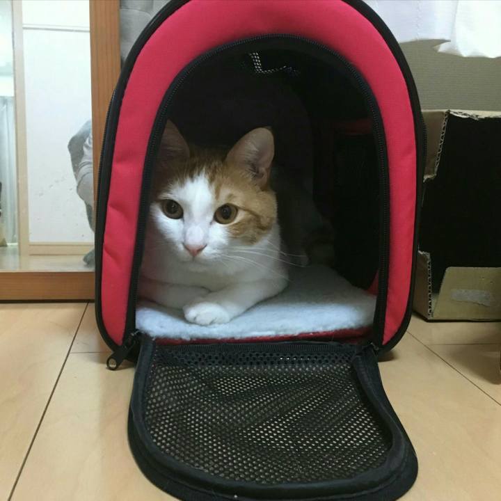 1661c7a7 a48e 4bfd b355 02eb0deb2f20