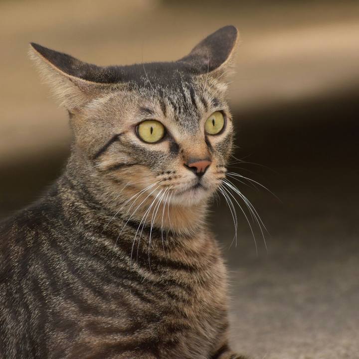 16620d10 df37 4eea b5b0 812a092c32f9