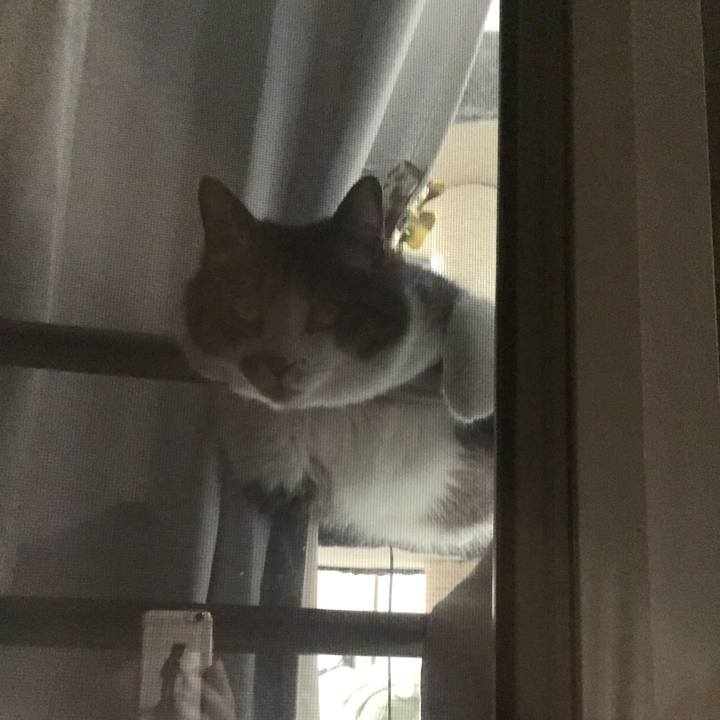 1662b991 1eac 4955 a98e 81d78c977f0b