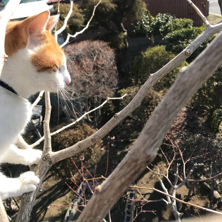 16631d06 910a 4f23 b279 4547e4745956