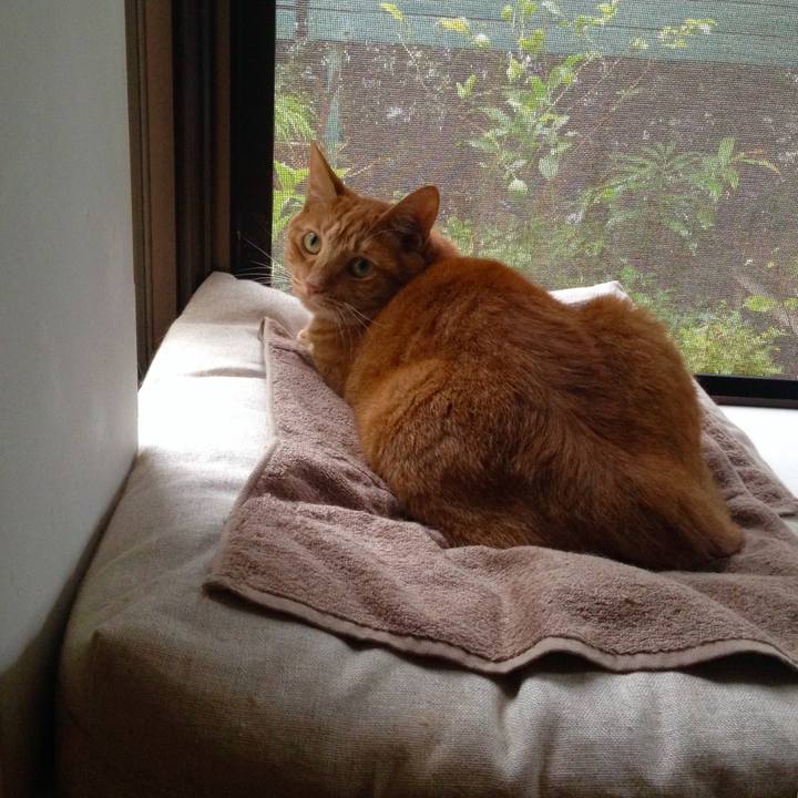 166345ff 26d9 41a4 be62 7cb8b6a93db7