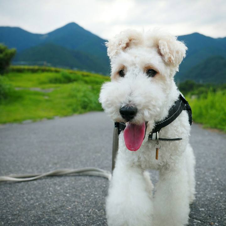 16649597 78cb 40ad b516 04cf6598267c