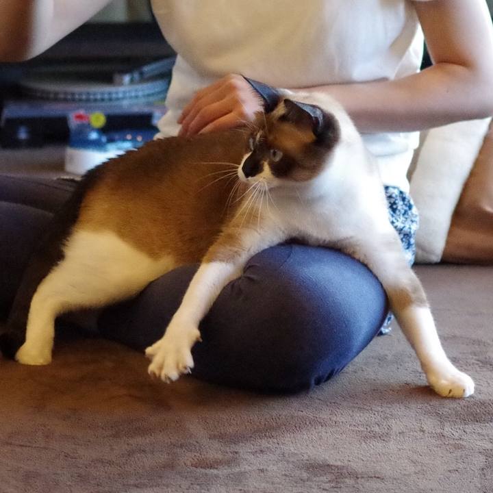 1664e42c 7209 427a 9f73 e4317b800a09