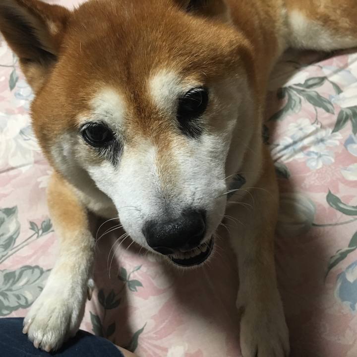 1664ef23 3721 43b6 a463 d80432446c9b