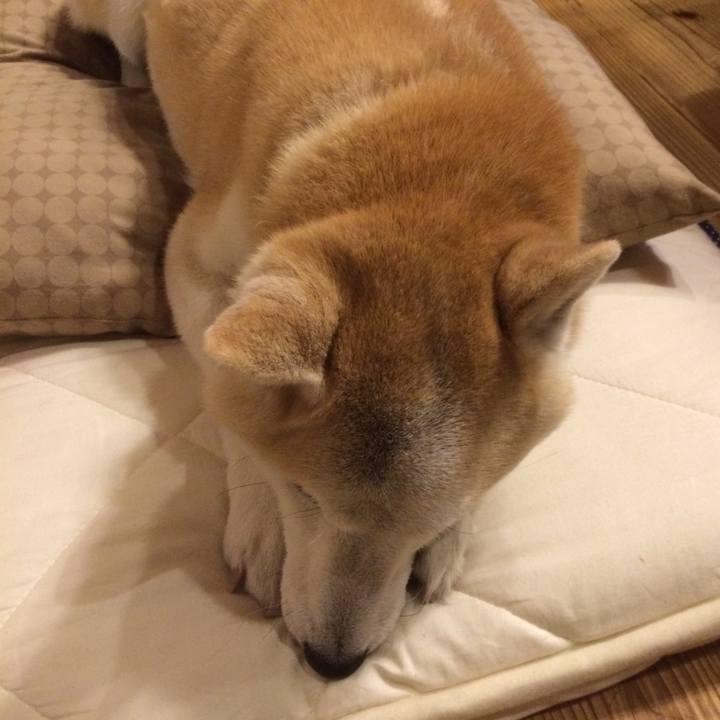 16650ded 48eb 402a 995f 4c8cf902c742