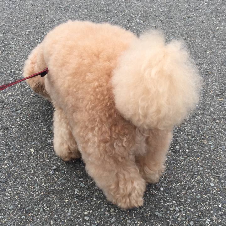 16652615 d2f6 4ad4 b231 26b577064f59