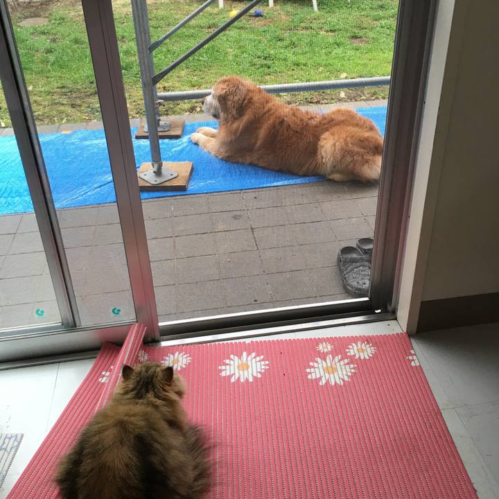 1665c6ce 3507 4b3e 83b9 41fa356d4130