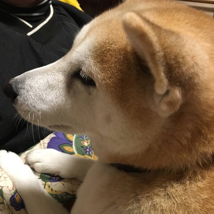 16666d44 bc57 4aa0 8ece 086b0c6681db