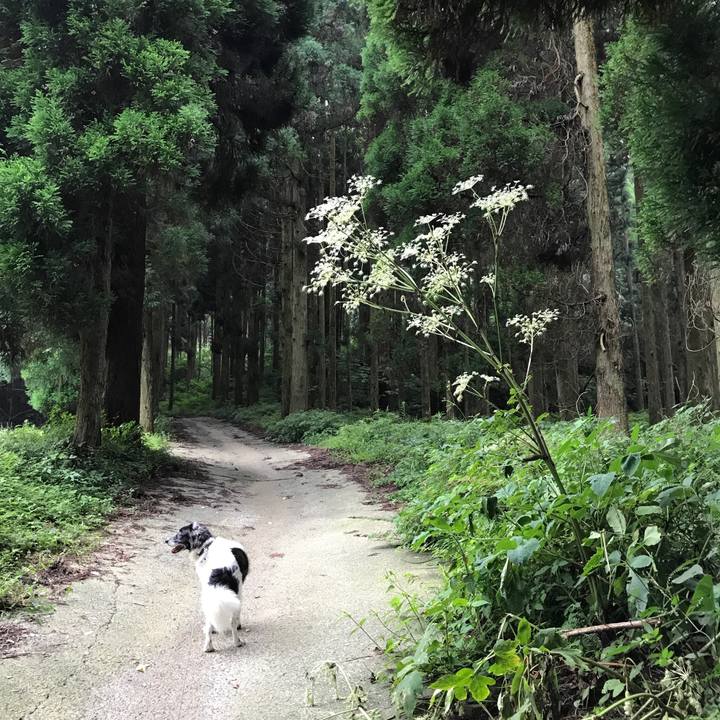 1666c0d8 ae11 4f02 8aaa fd3a8beb9d48