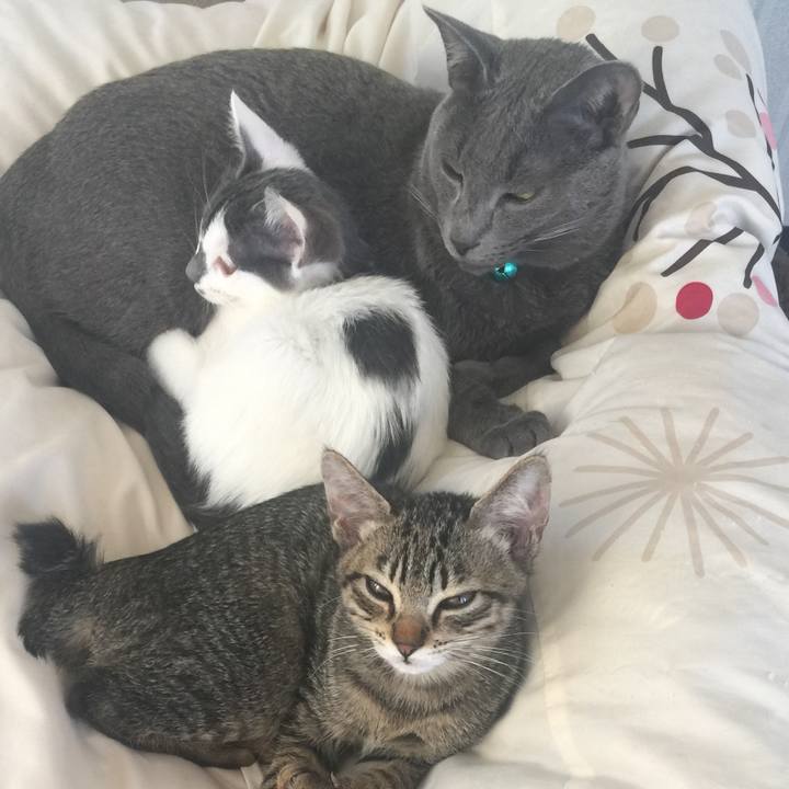 16675af9 cf56 4f05 8849 cf0d430d6f67