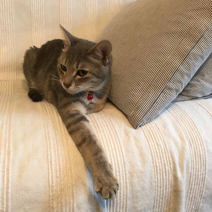 166855bc d6ac 418a b3ac 679de37bbe93