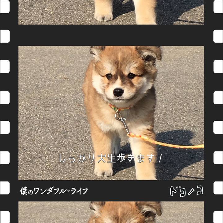 1668712f def8 4e1c a9e4 94556efa78ec