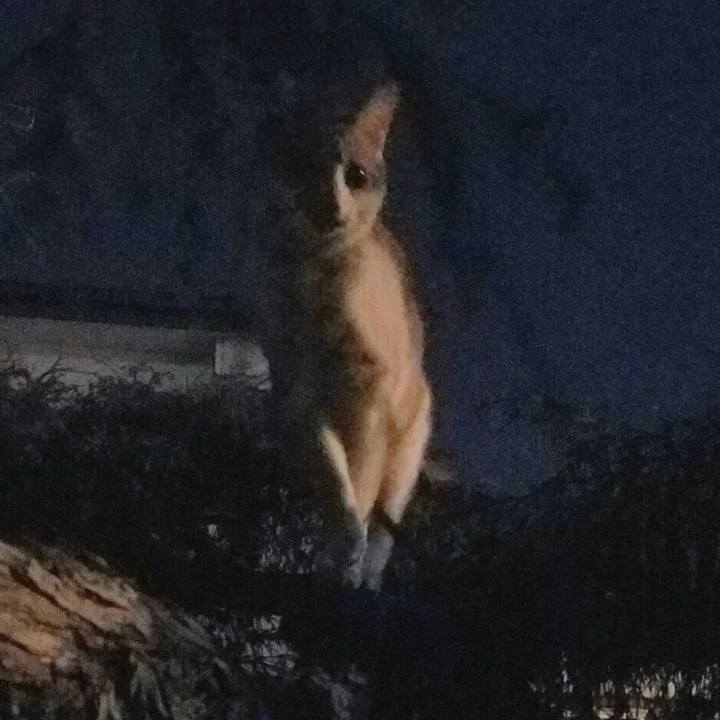 16689108 edc5 413a a2ea 8f5053364006