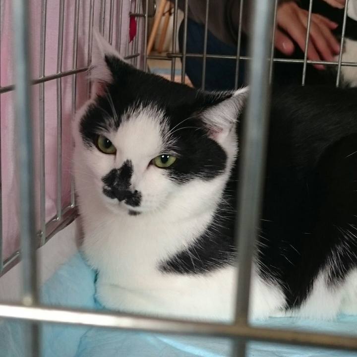 1669154f c145 4fd9 9a02 c803282bdd23