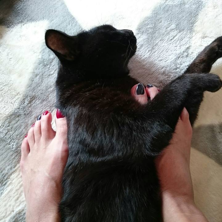 16694633 caac 4280 adeb 702218798dce