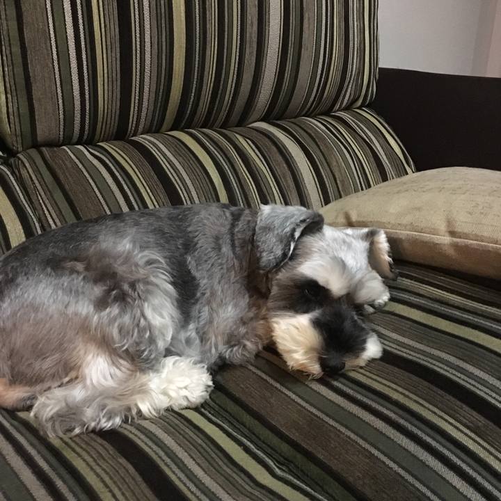 1669557c f515 4de9 9042 5a9487f8bd21