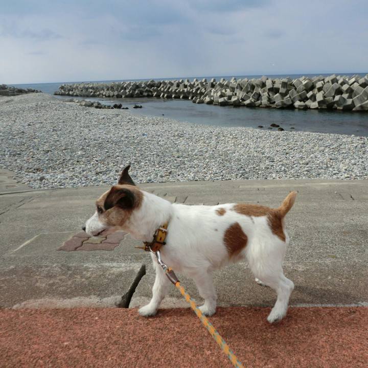 1669ed26 8f49 43bb ad7c f340fb6c494a