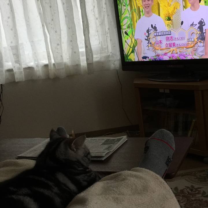 166aa311 6acc 4337 9bf5 54b41cda1363