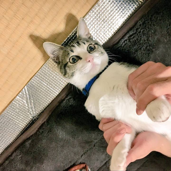 166ac457 08d4 477d be5c 589fc1596ee7