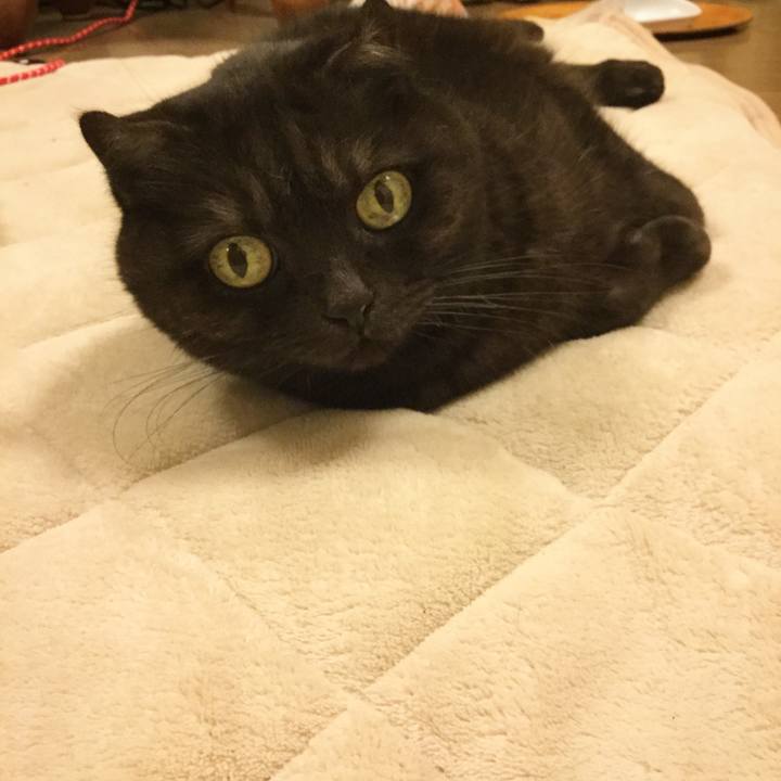 166b2800 4e5c 46ba b189 b736242bc396