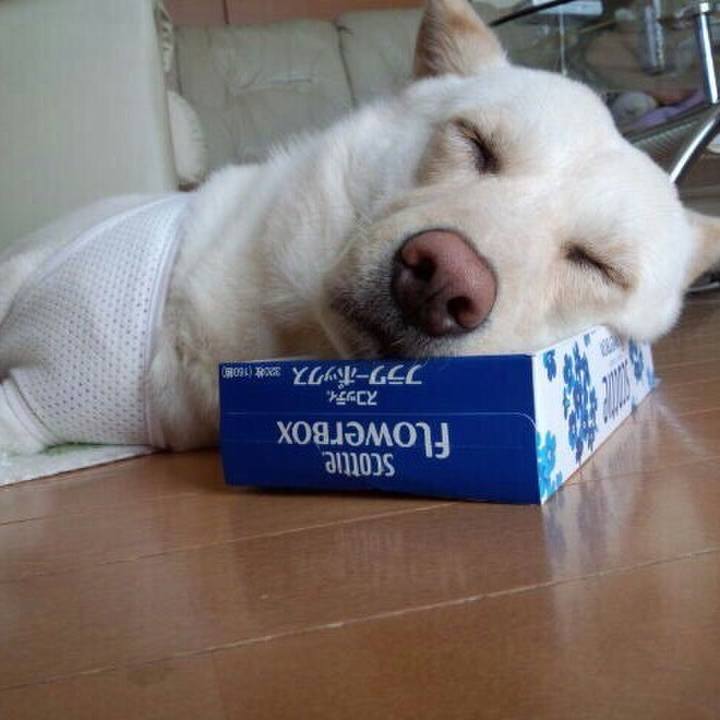 166bf867 bb86 4b71 b9bb ef6c08dfc7cb