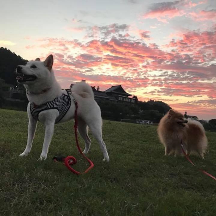 166c8308 3c7b 48ce bef9 08280a2c122e