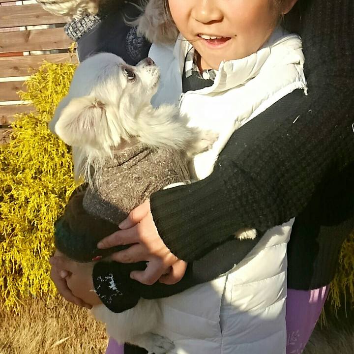 166e10bd 175c 409e 958f 56b07e8a20aa