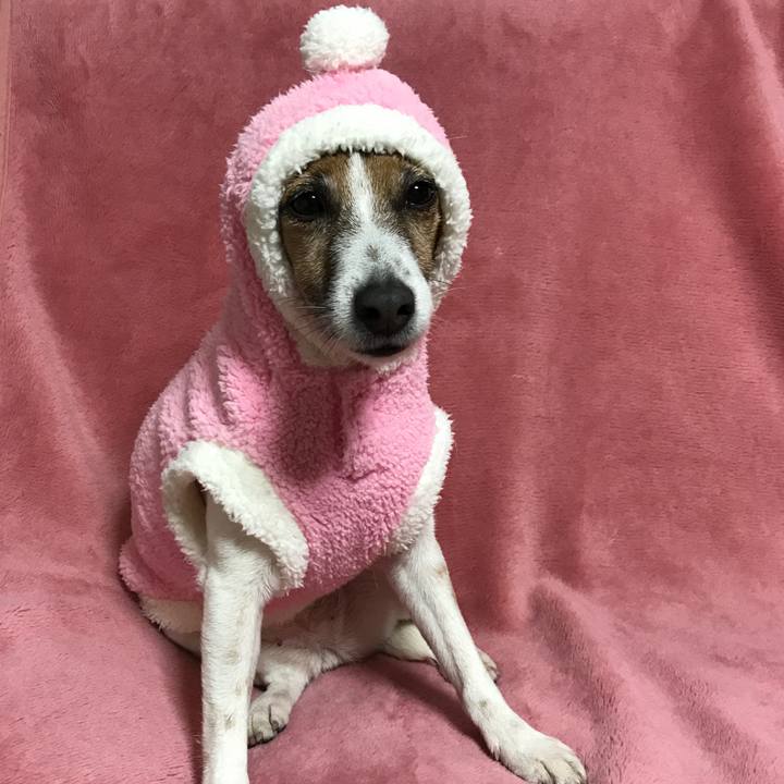 166e47c5 388c 4bda a087 a17f698400fb