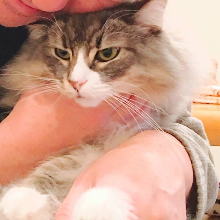 166e7514 55be 470e 9ab6 e3f13a507176