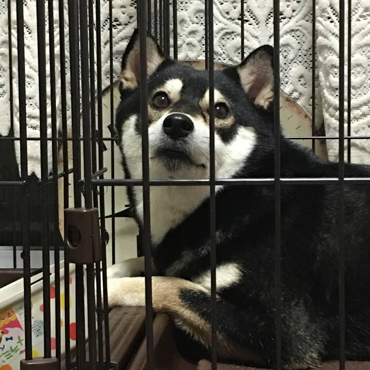 166ea8b3 1dd7 4e65 b30e 299fc19f5e28