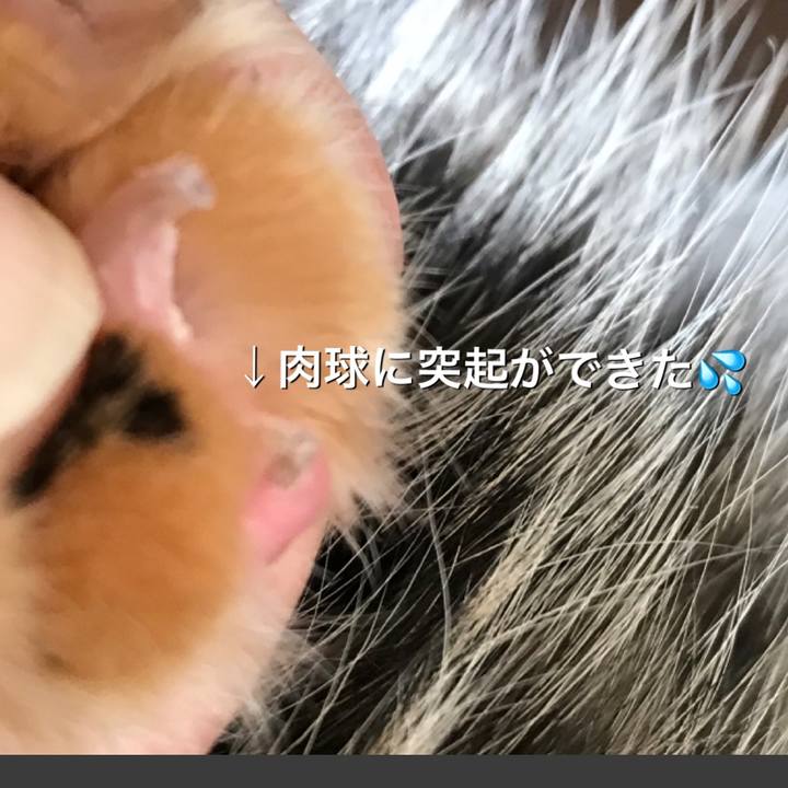 166ec381 2773 4cbd b6a0 76ef813d88ae