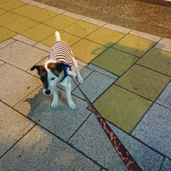 166f2f8f c9d8 4596 b9b7 aafc040dcc95