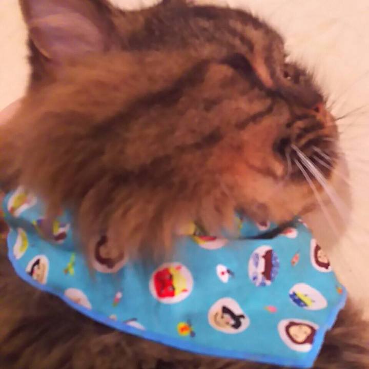 166f746d 05cd 4b72 809f dfbc45d61337