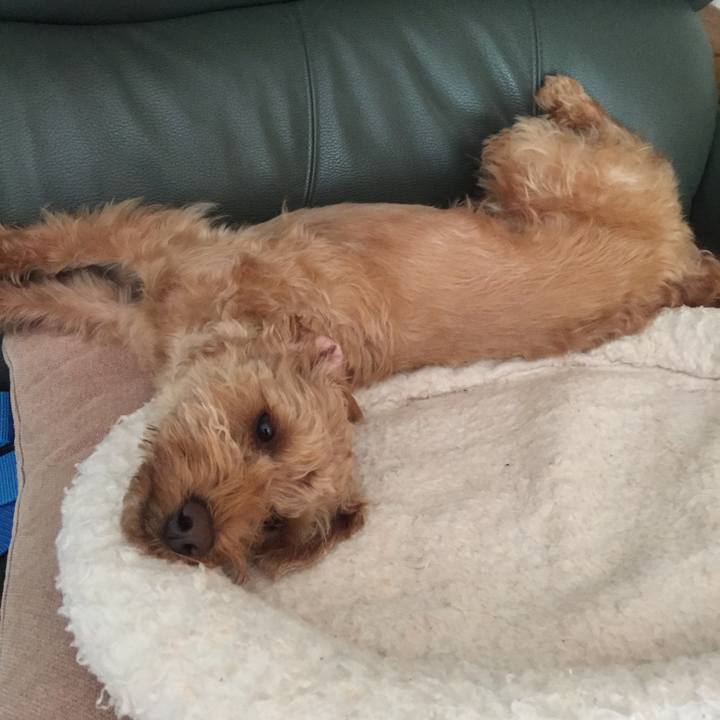 166f7936 cd73 4892 b4fb 99ca0936936a