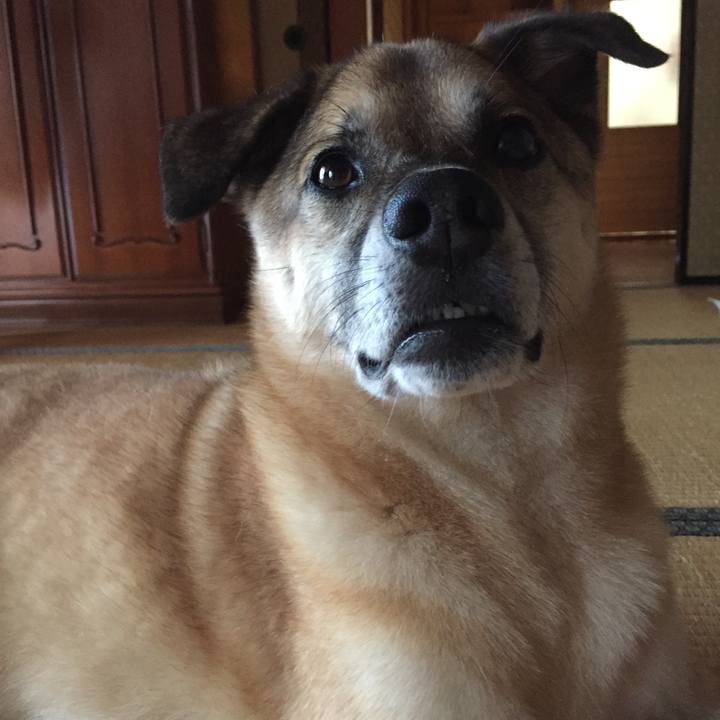 1670ae5d c3ac 446b 8808 096517b5d816