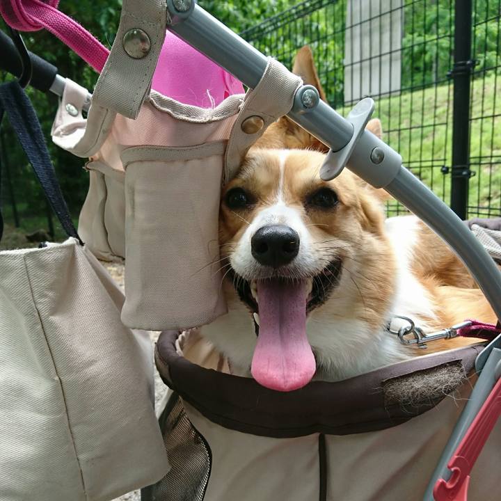 1670d4d4 3ad4 4eee 81a1 e4ae321d3087