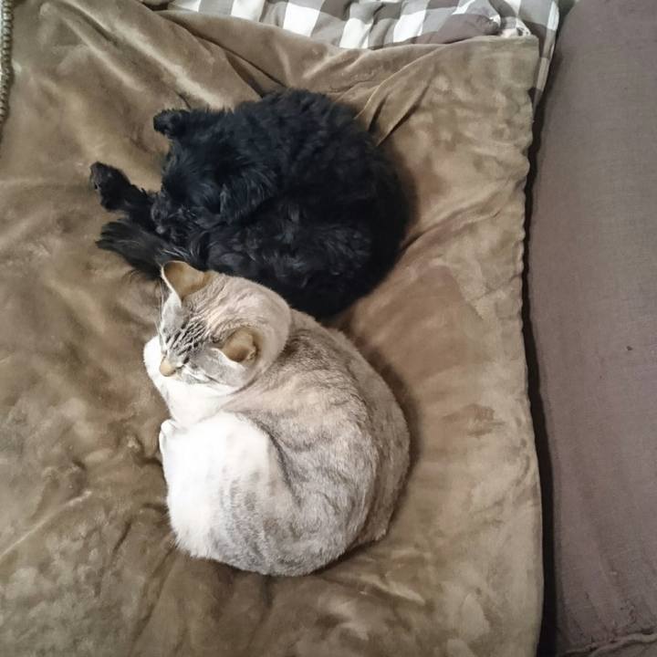 1671a406 90d2 4d14 8efe 38e162f2439c