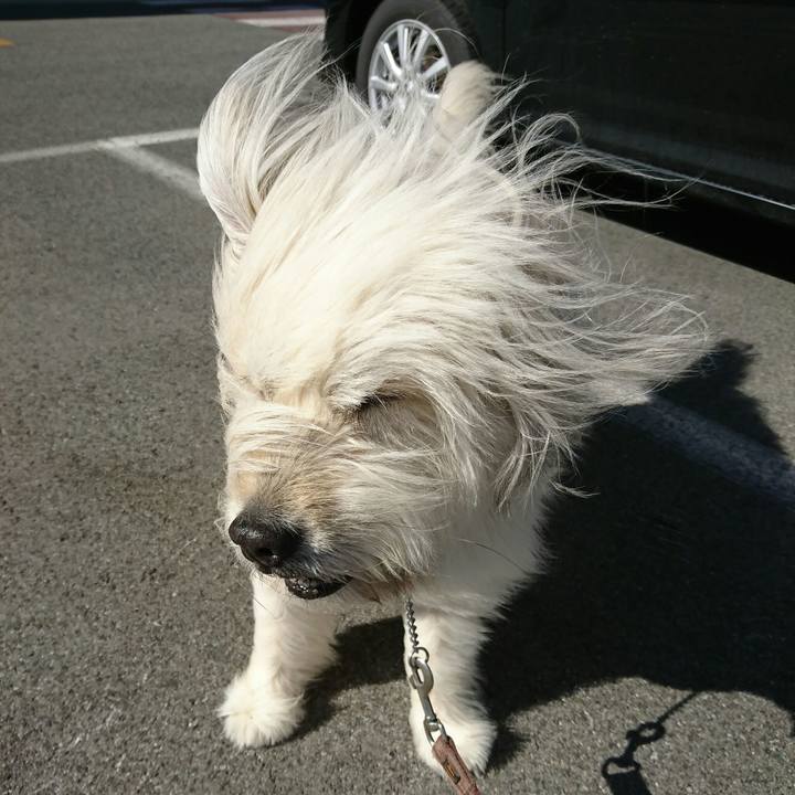 1672b130 938b 42ce bcef a16076c045c6