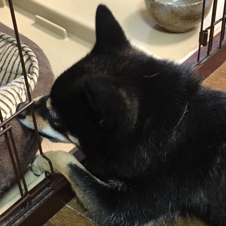 16732a2b 732f 4415 a7da 4c9ac5973751